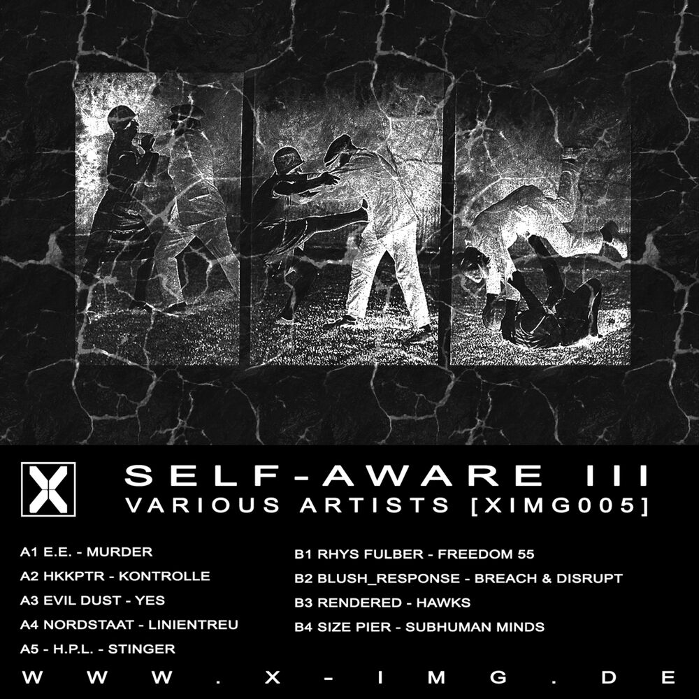 Picture of Self-Aware III
