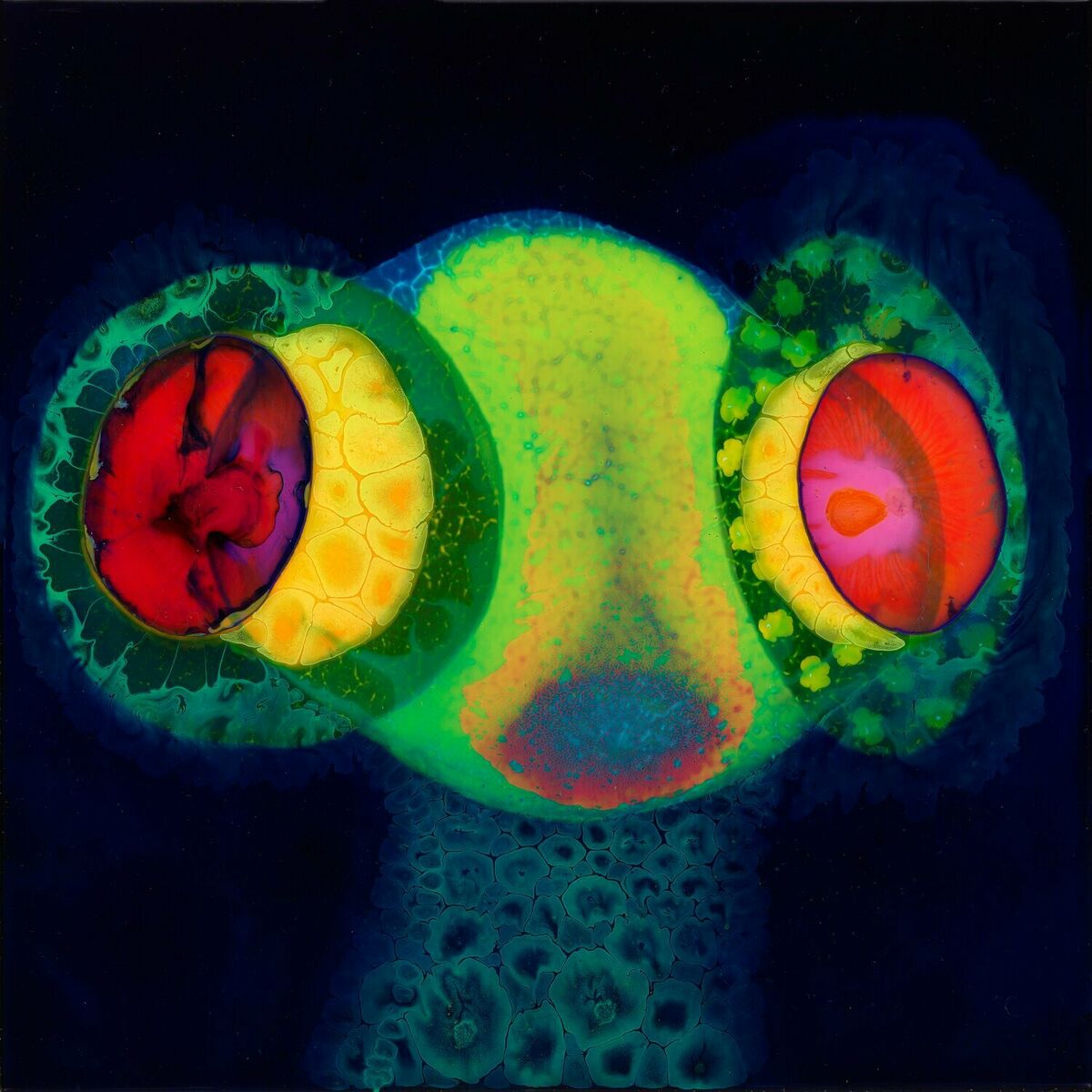 Album cover of Drug City