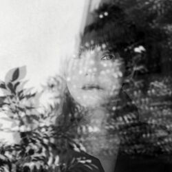Cover of Used To It