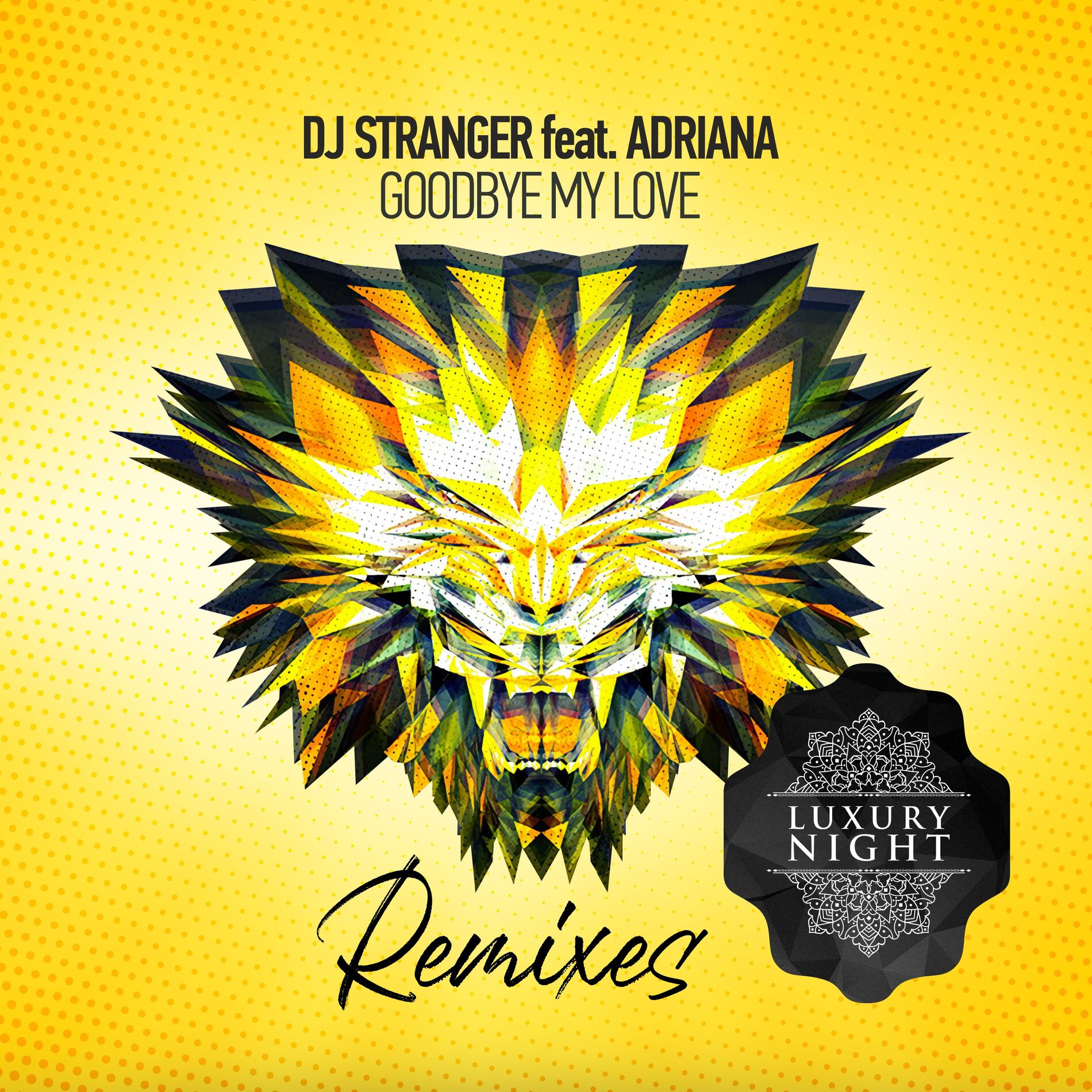 Album cover of Goodbye My Love (Remixes)