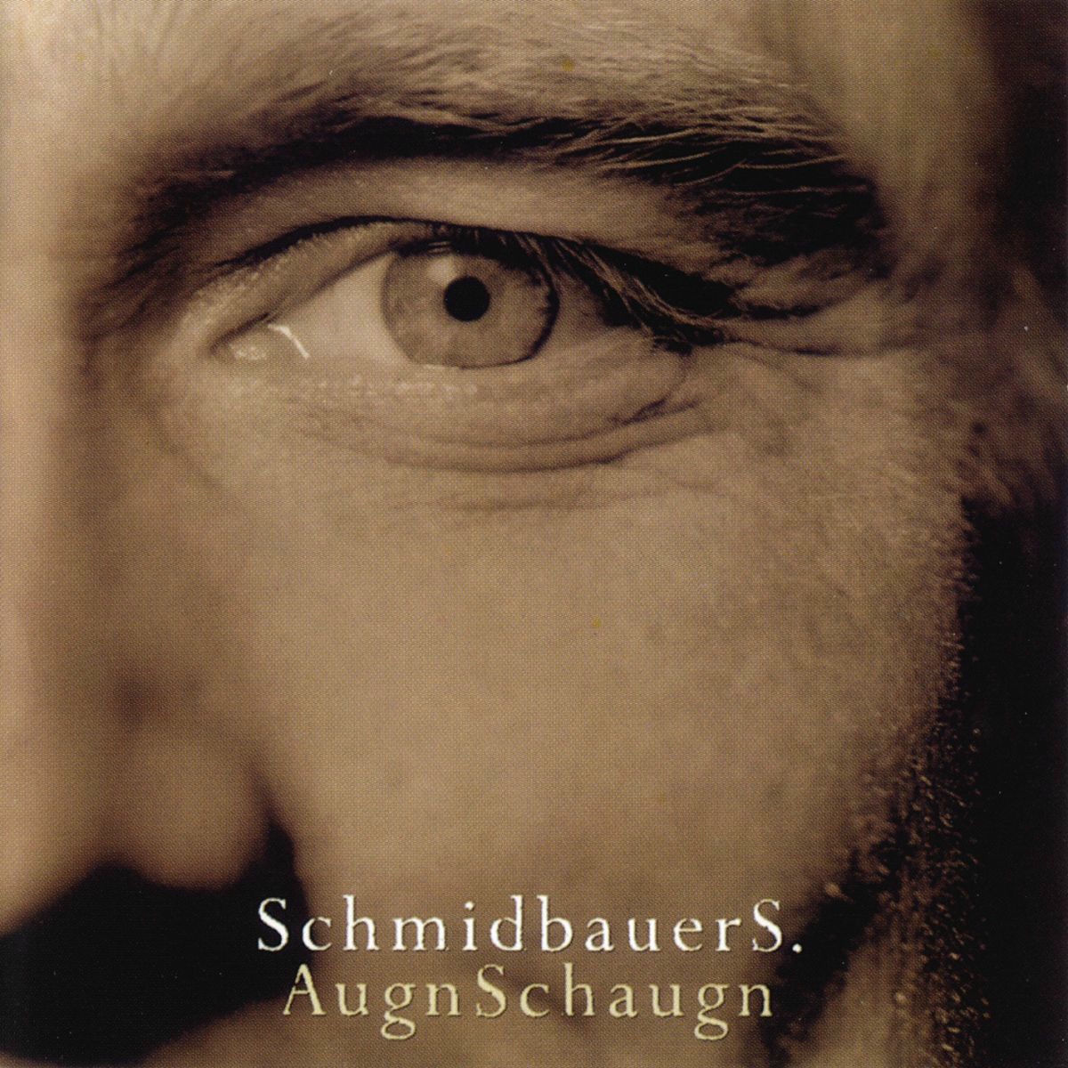 Album cover of Augnschaugn