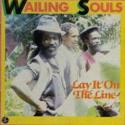 Cover of Lay It on the Line