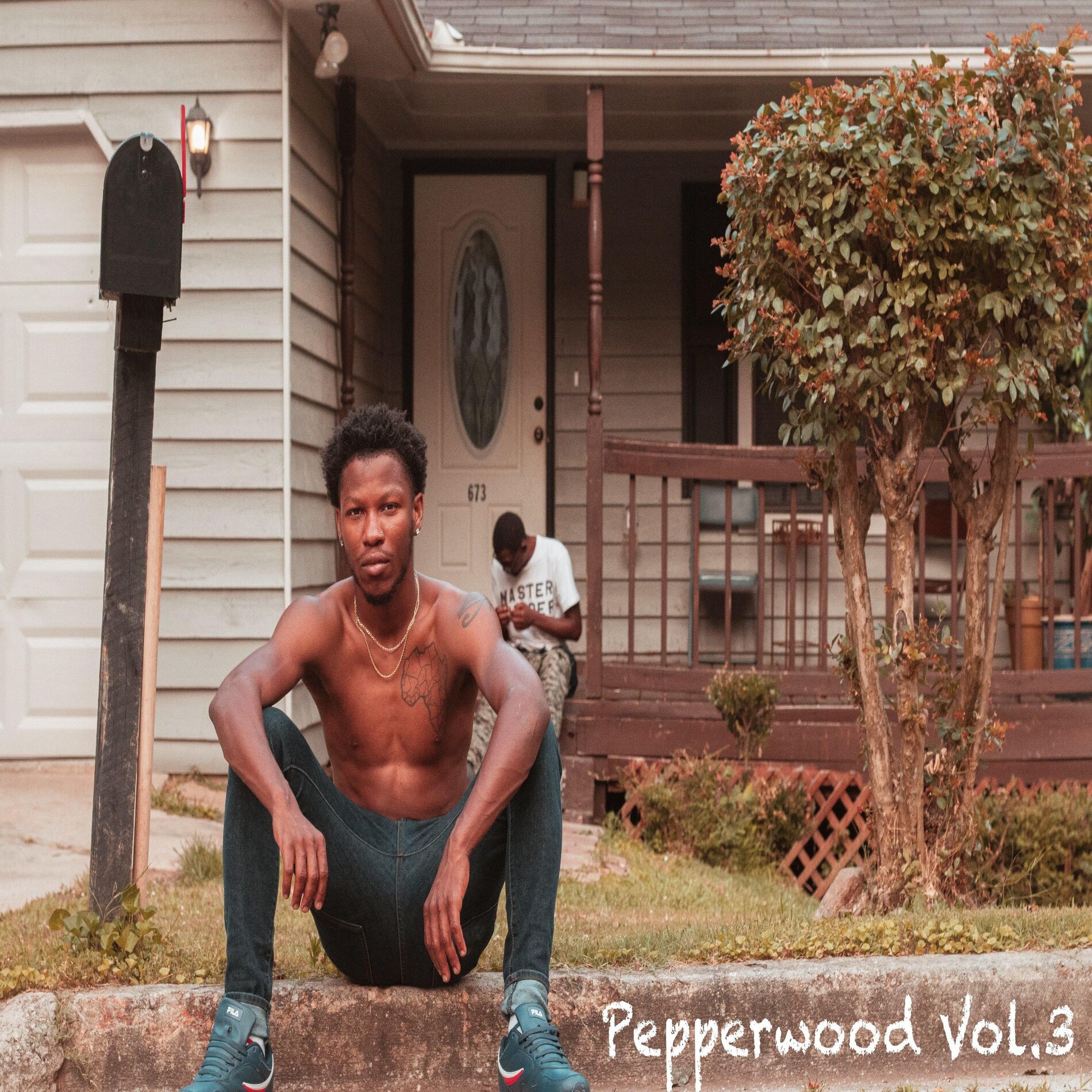 Album cover of Pepperwood, Vol. 3
