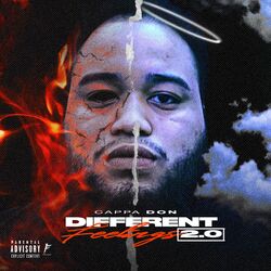 Cover of Different Feelings 2.0