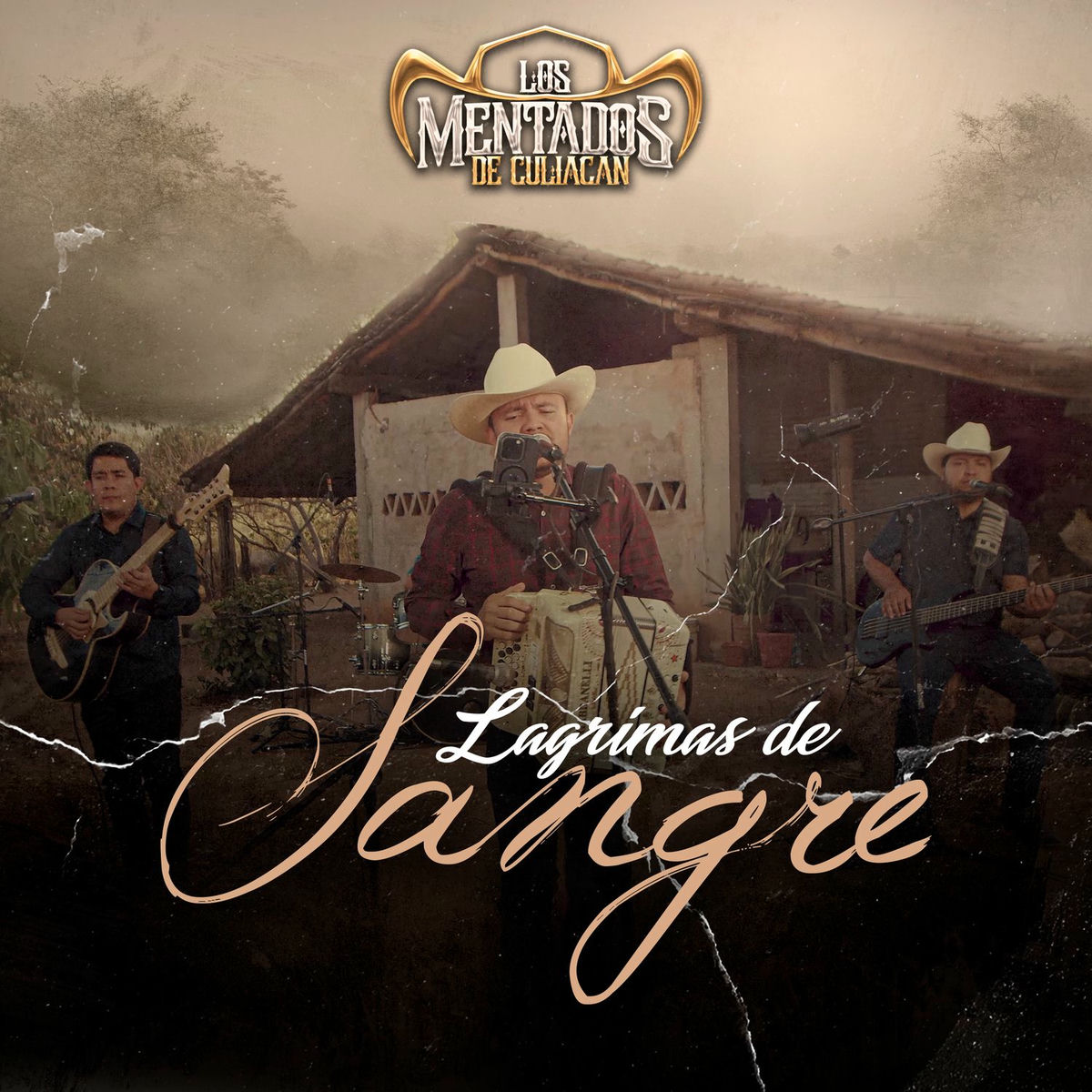 Album cover of Lágrimas de Sangre