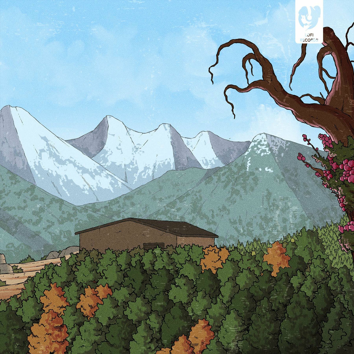 Album cover of As The Night Comes