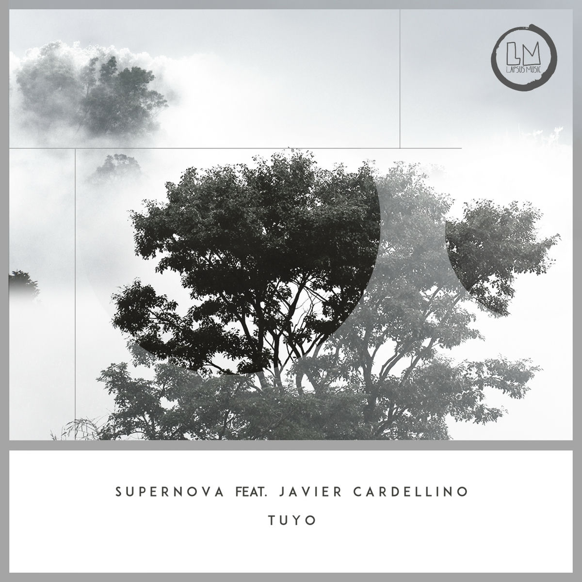 Album cover of Tuyo