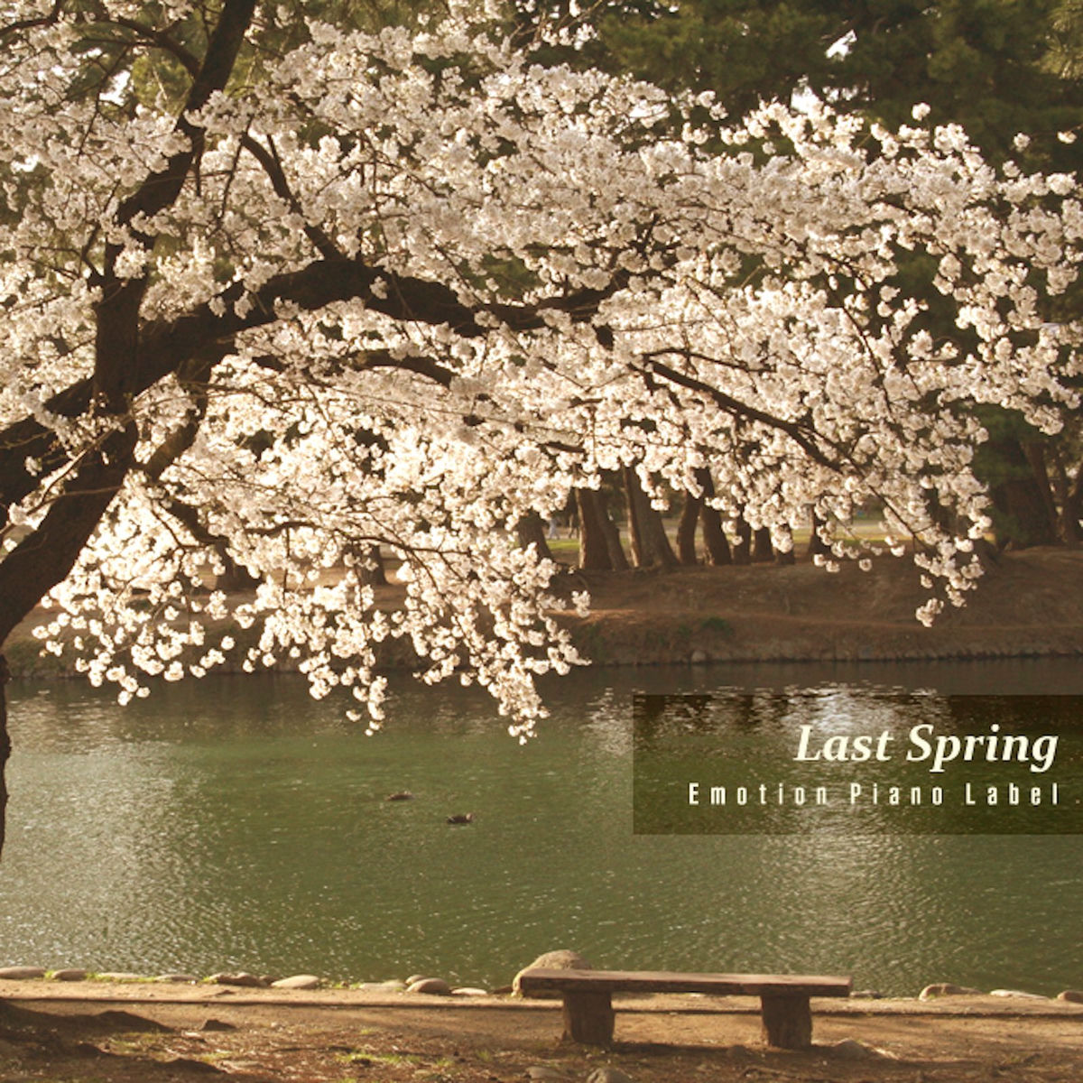 Album cover of 지난 봄 그리고 너 Last Spring And You