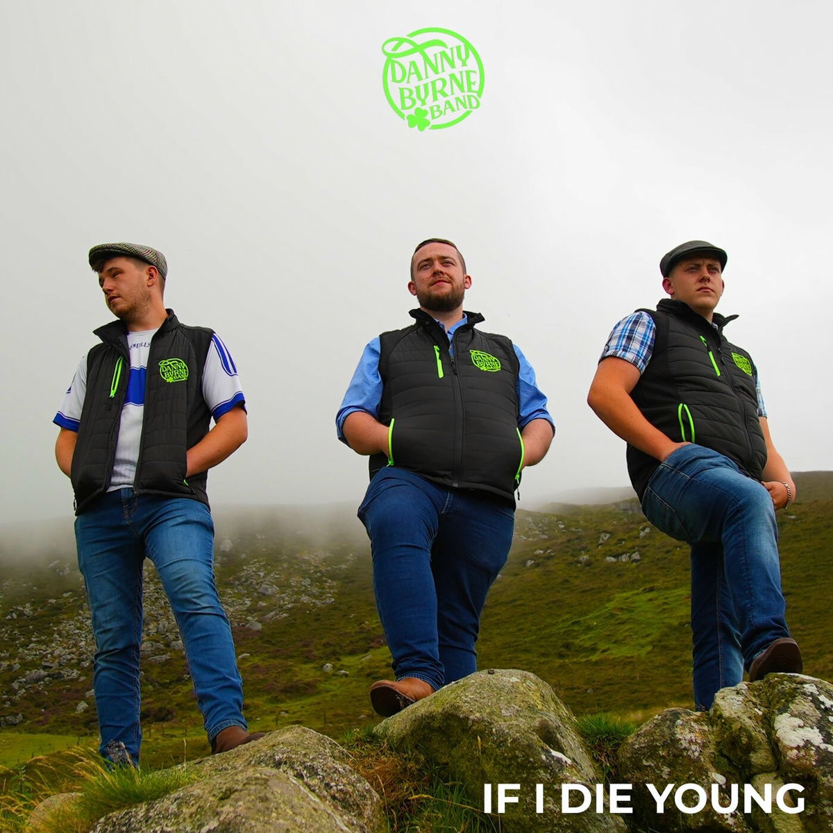 Album cover of If I Die Young
