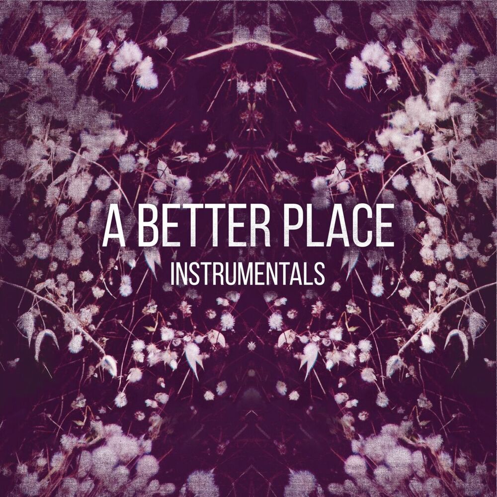 Picture of A Better Place Instrumentals