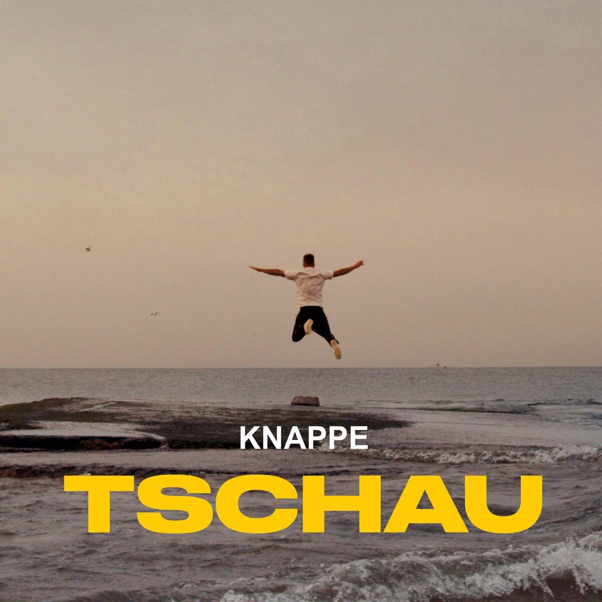Album cover of Tschau