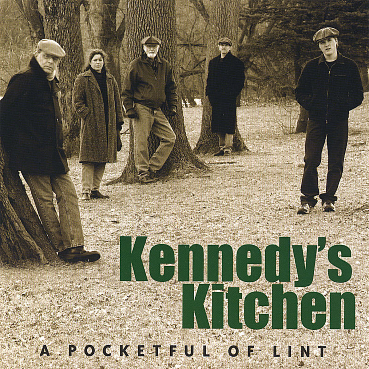 Album cover of A Pocketful of Lint