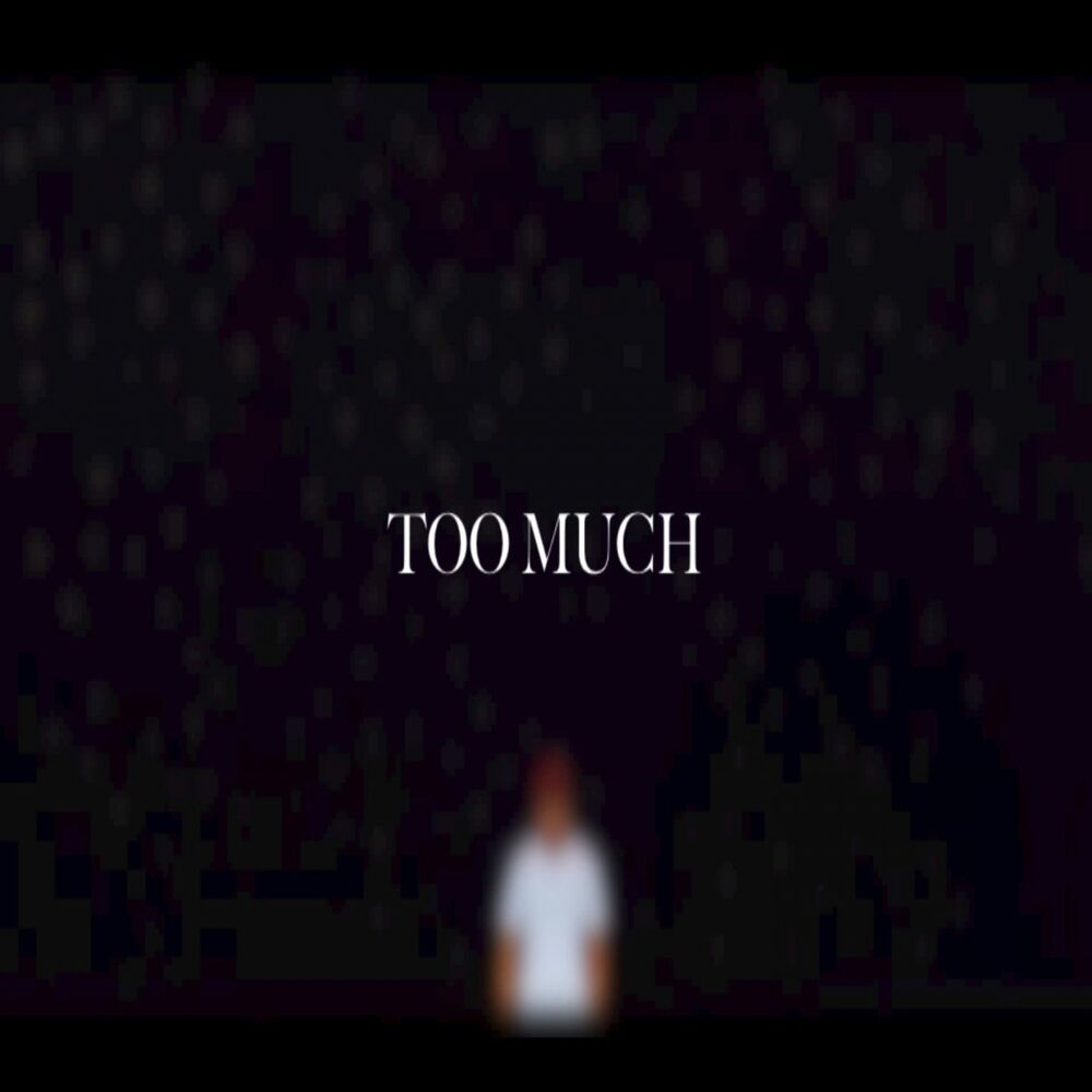Picture of Too Much