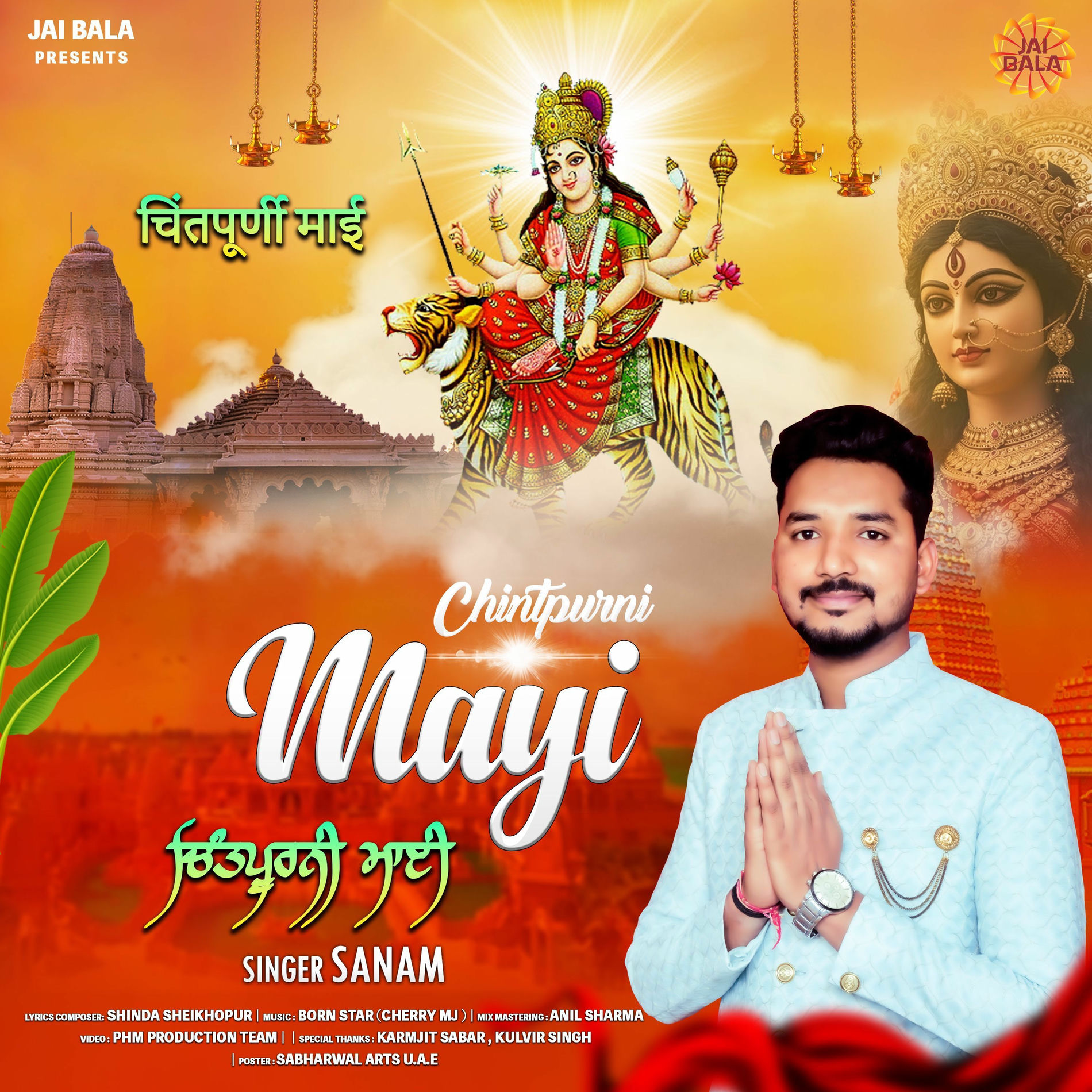 Album cover of Mayi Chintpurni