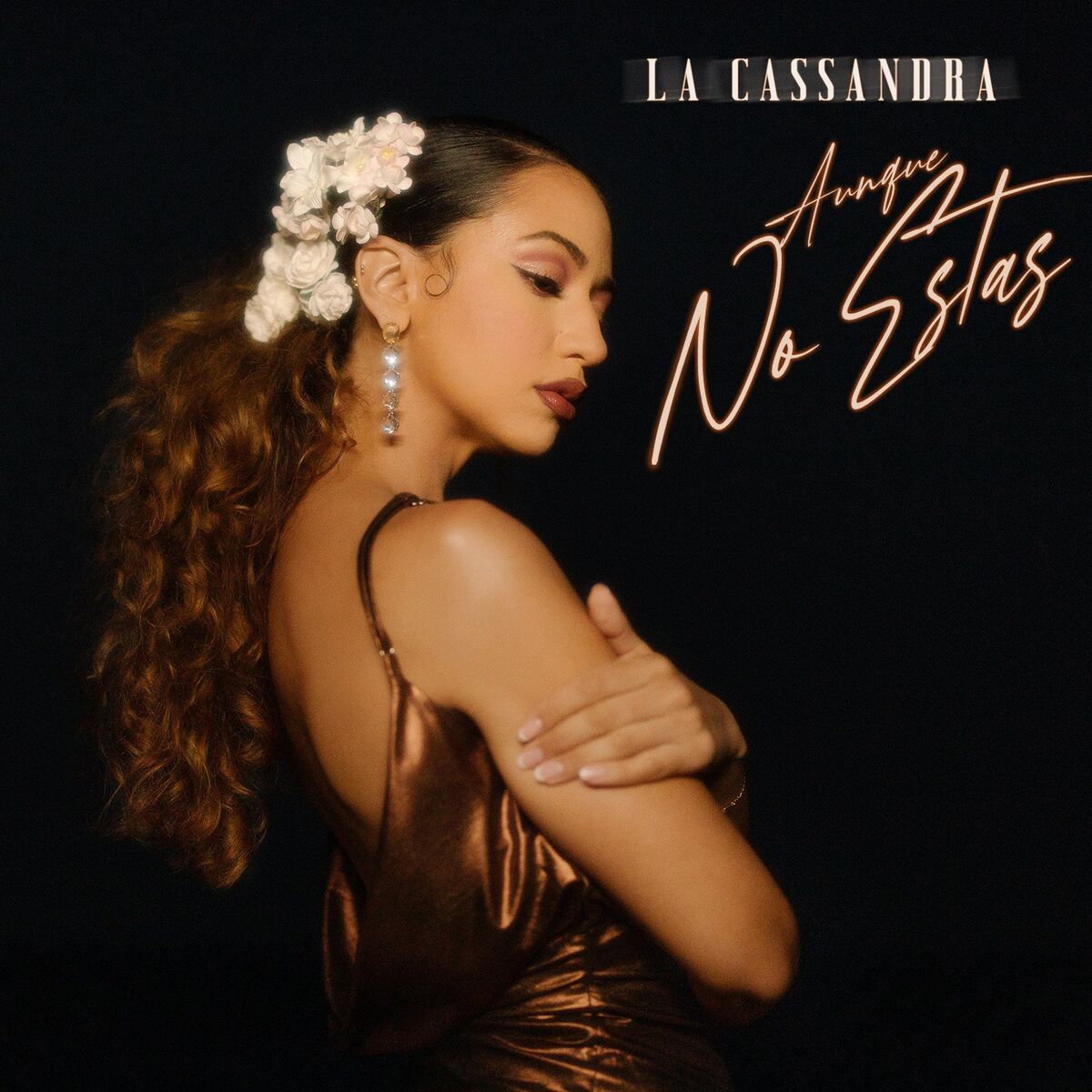 Album cover of Aunque No Estas