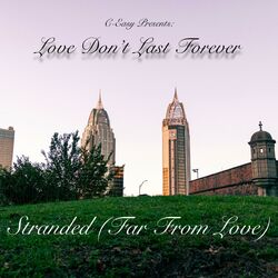 Cover of Stranded (Far From Love)