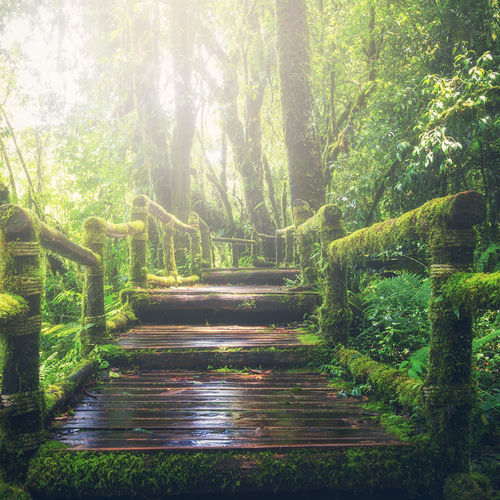 Relaxation Songs | Zen Relaxation