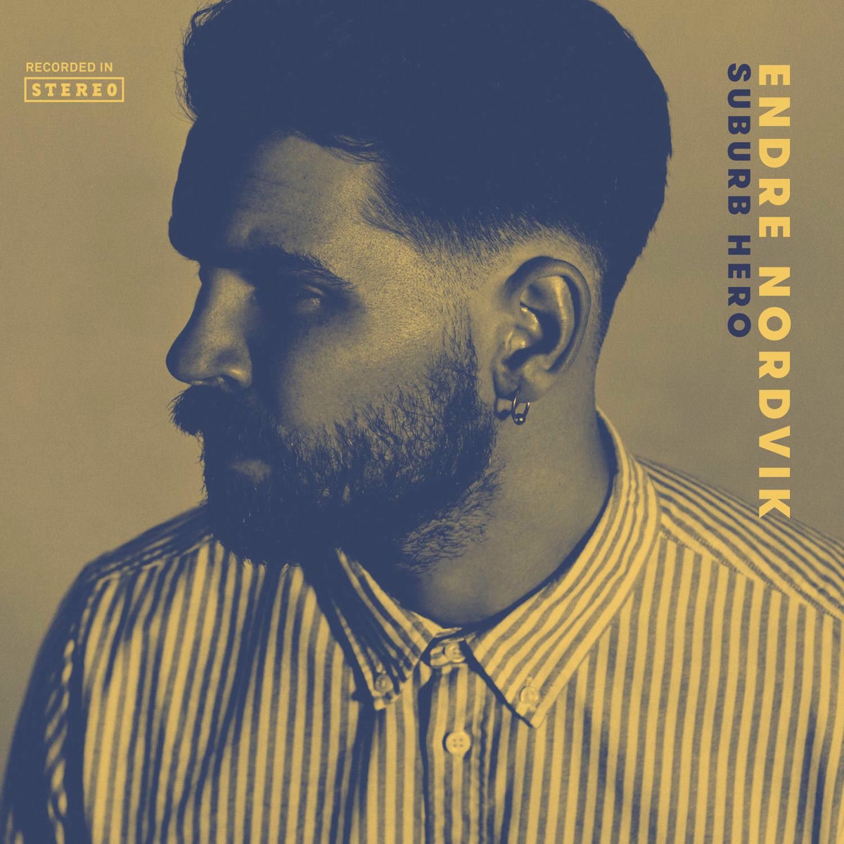 Album cover of Suburb Hero