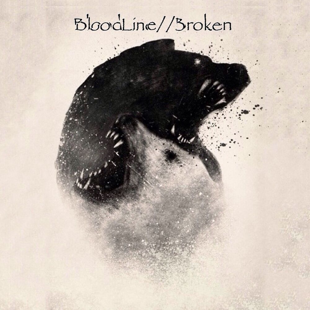 Picture of Broken