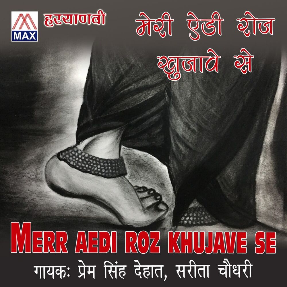 Picture of Hariyanvi Merr Aedi Roz Khujave Se