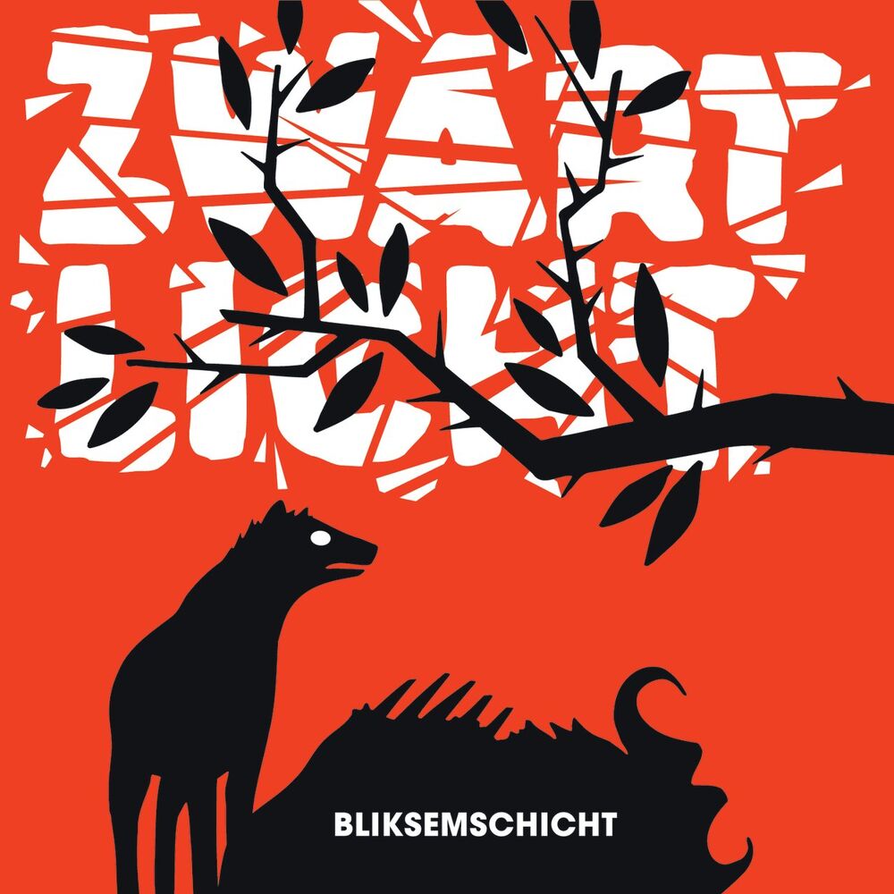 Picture of Bliksemschicht