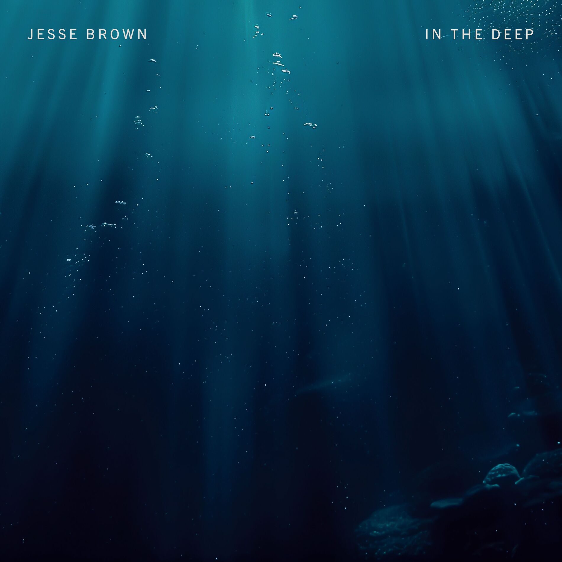 Album cover of in the deep