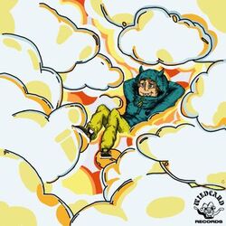 Cover of Chrome