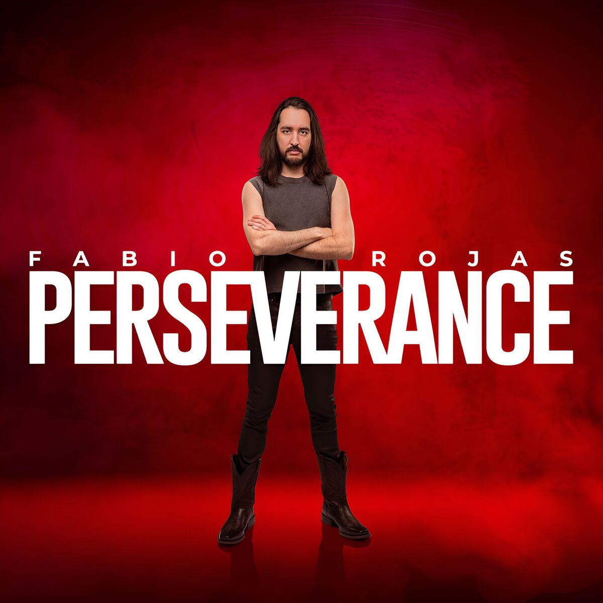 Album cover of Perseverance