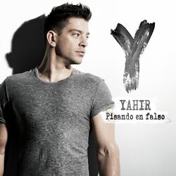 Cover of Pisando En Falso