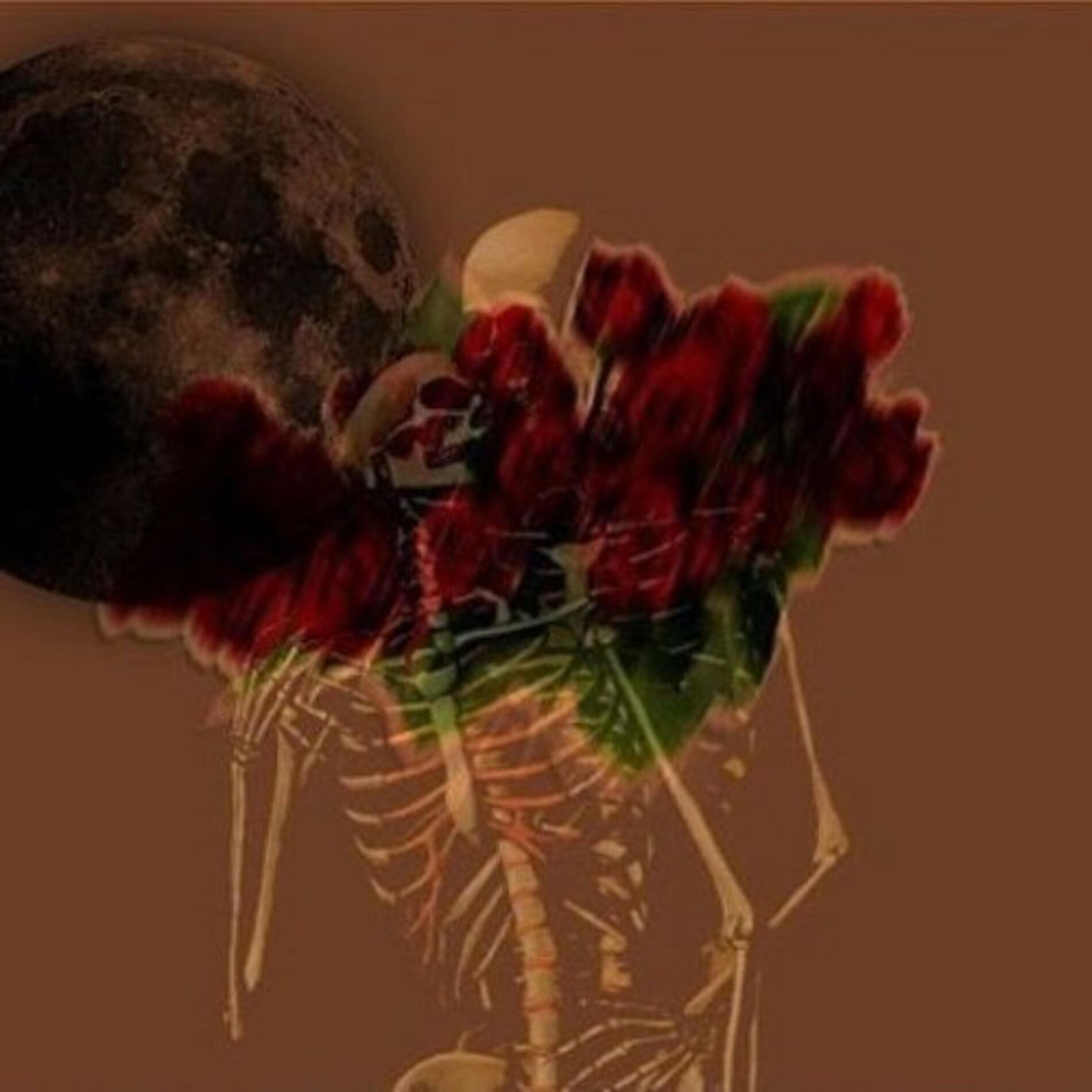Album cover of five minutes writing from the bottom