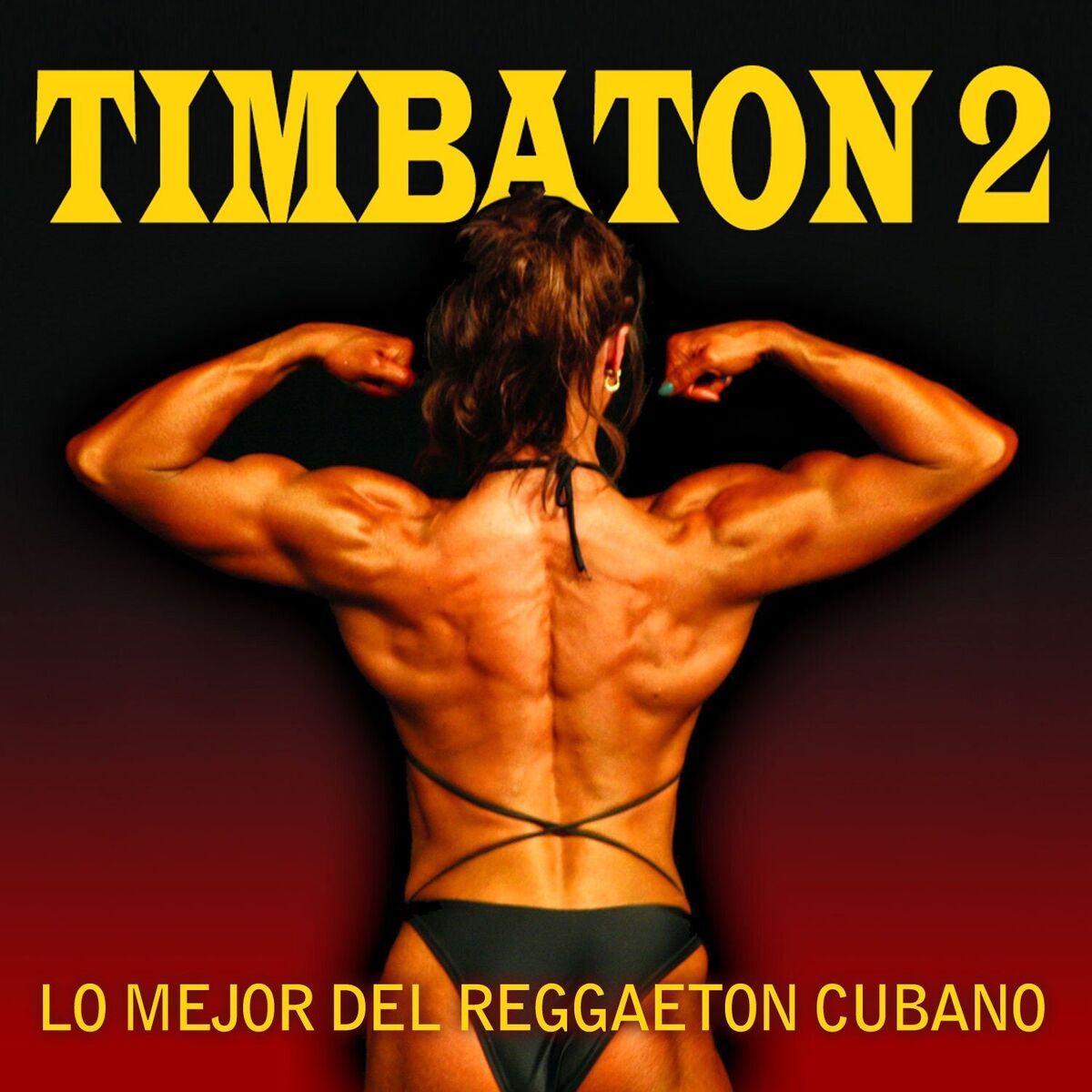 Album cover of Timbaton 2 (Lo Mejor del Reggaeton Cubano)