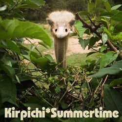 Cover of Summertime