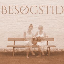 Cover of Besøgstid