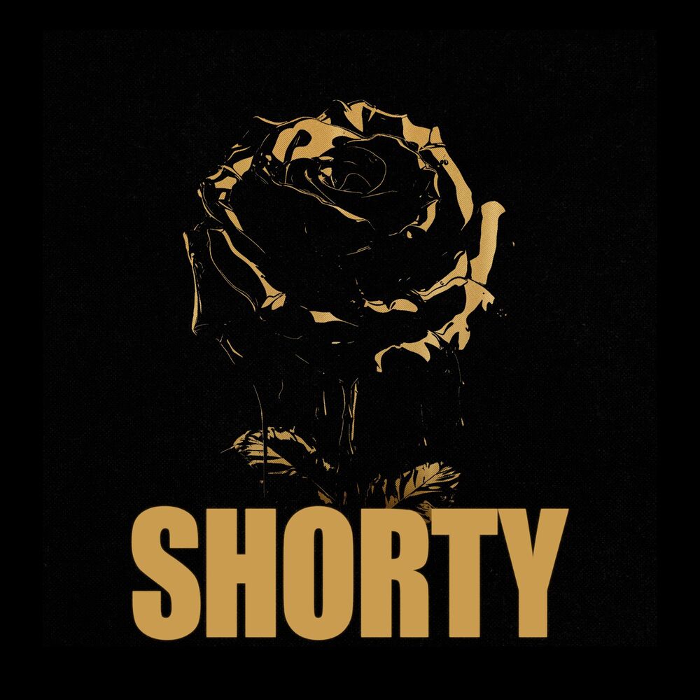 Picture of shorty (feat. Gino Mella, King Savagge & Remers)