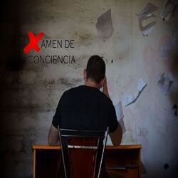 Cover of Examen de conciencia