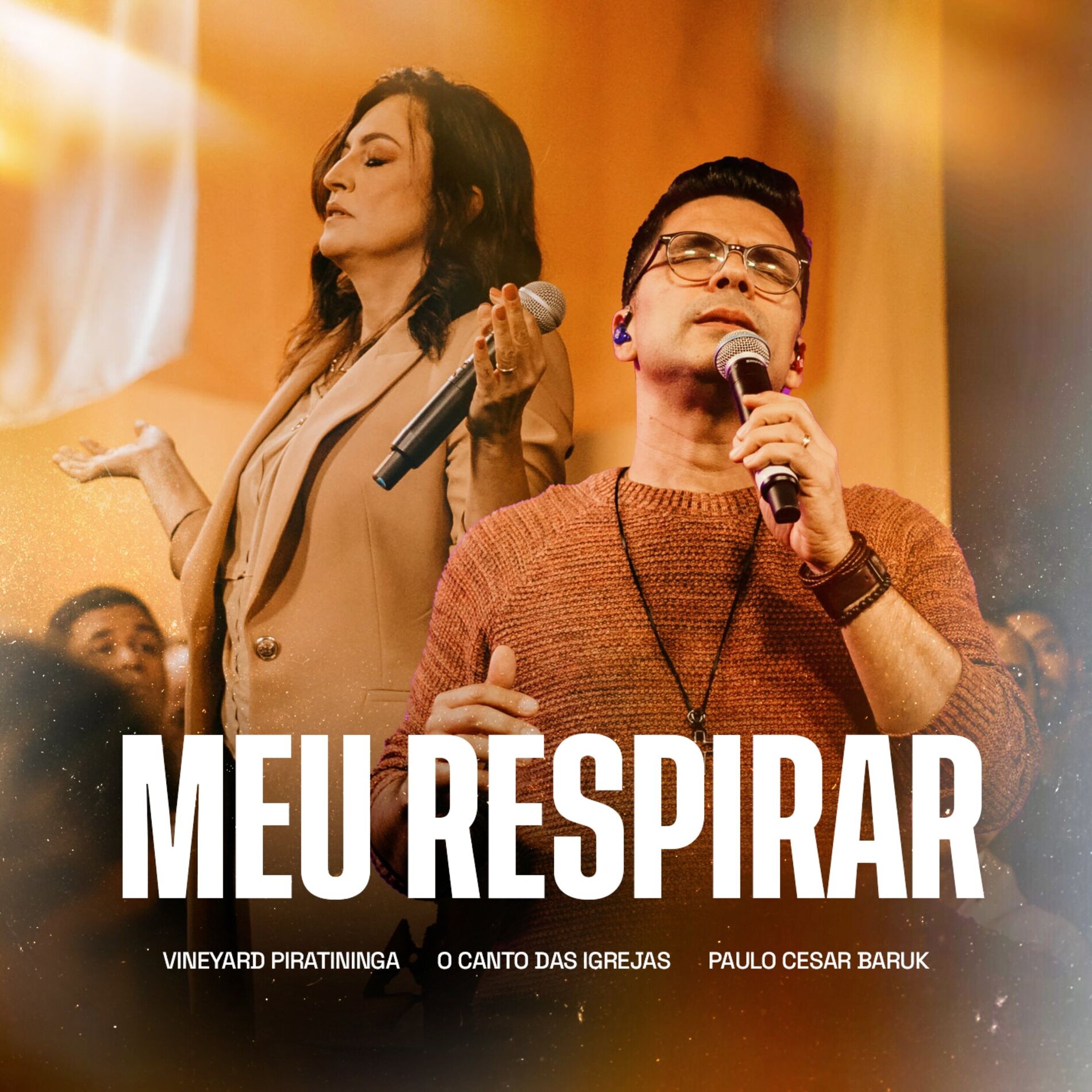 Album cover of Meu Respirar