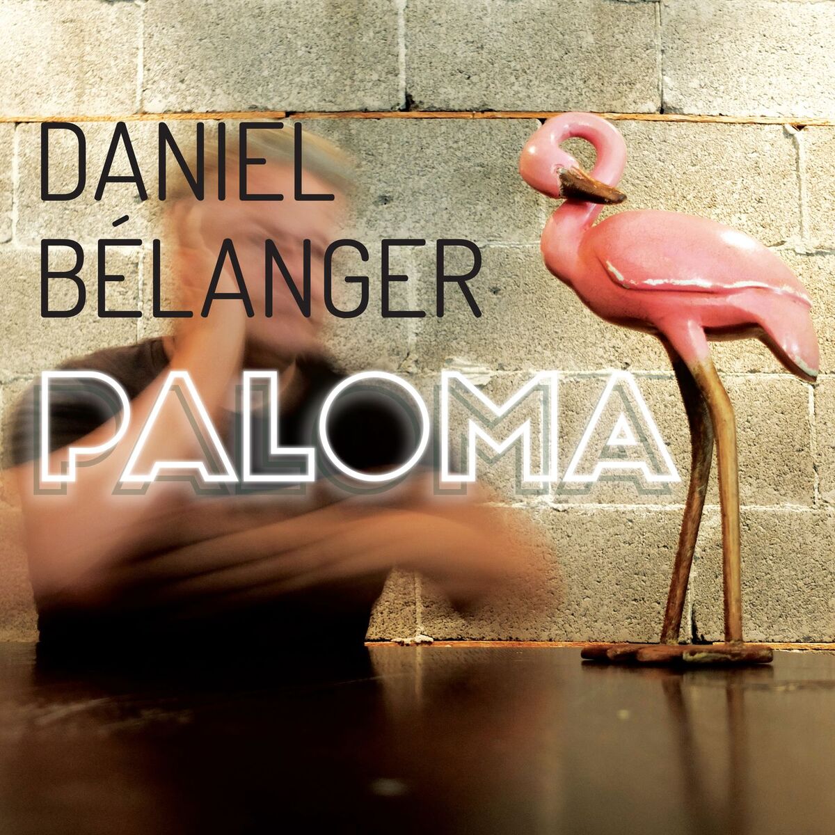 Album cover of Paloma