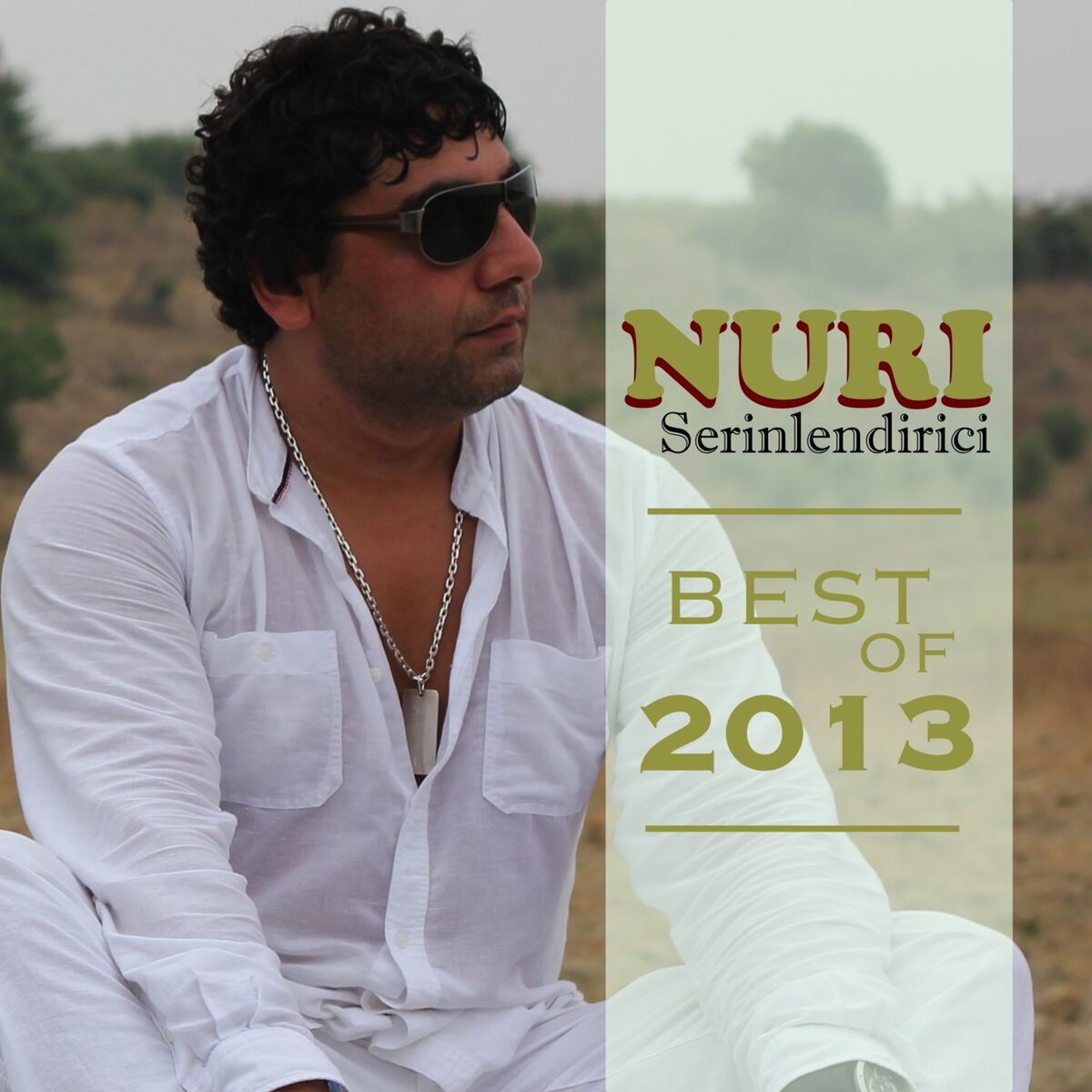 Album cover of Best of 2013