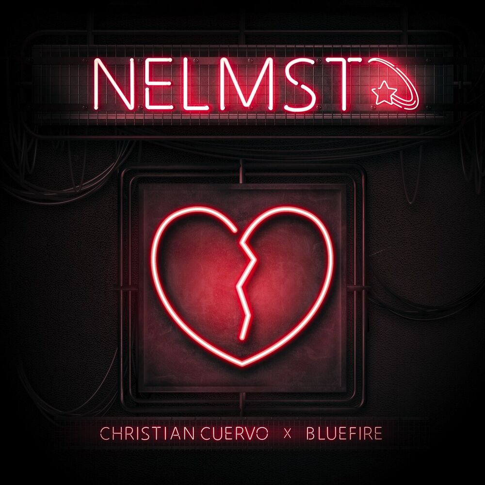 Picture of NELMST