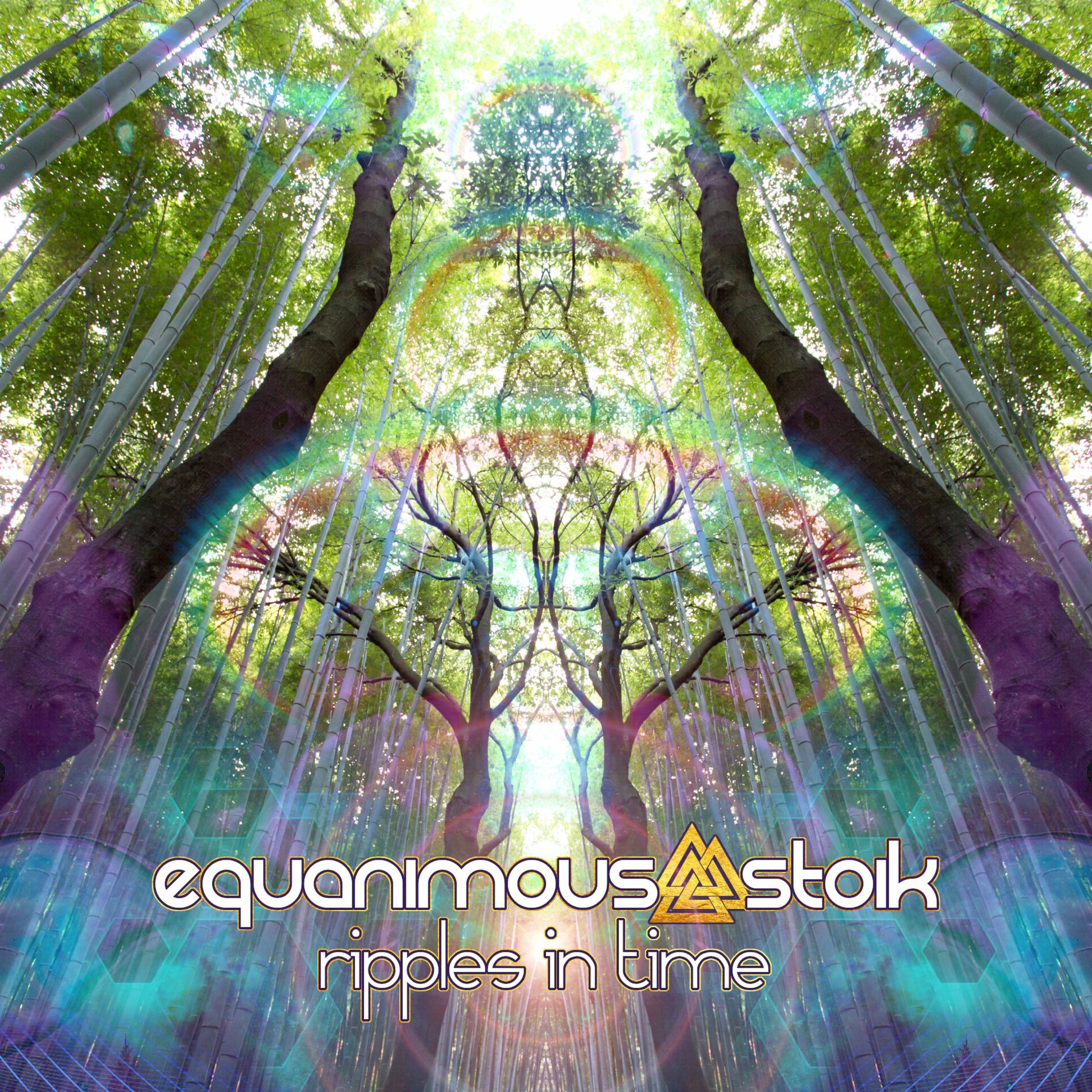 Album cover of Ripples in Time