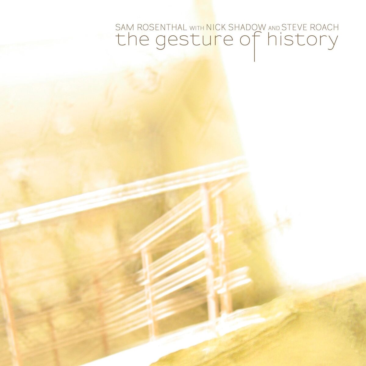 Album cover of The Gesture of History