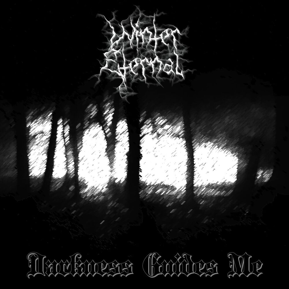 Picture of Darkness Guides Me