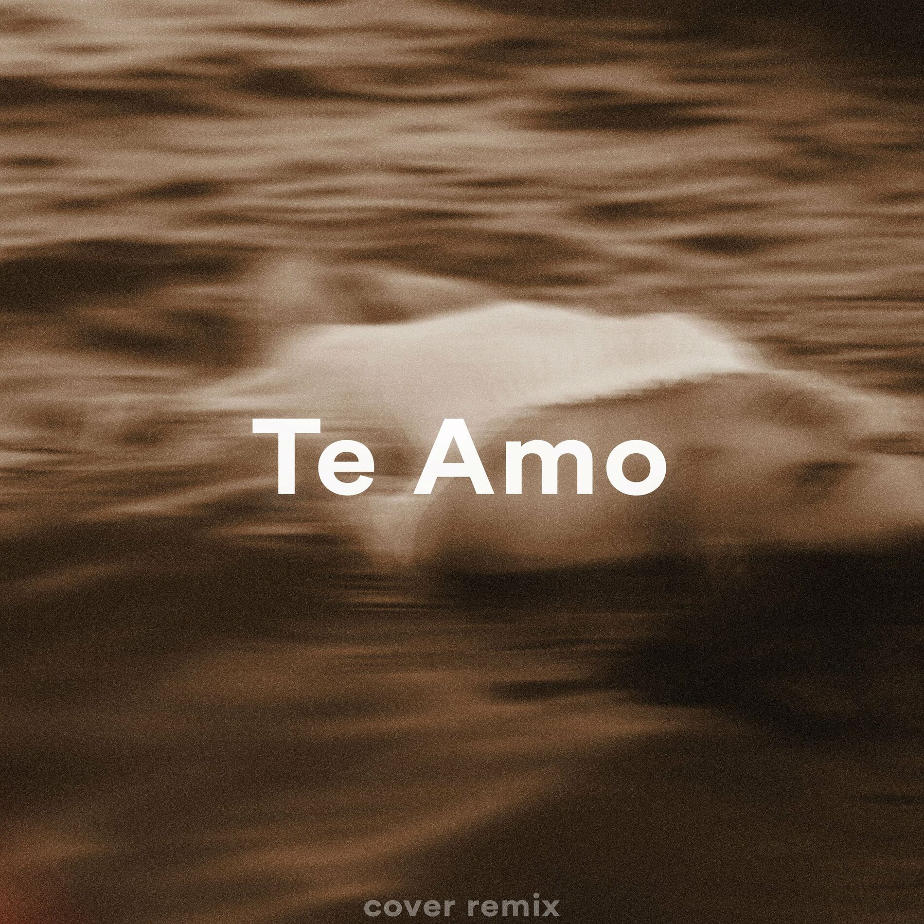 Album cover of Te Amo