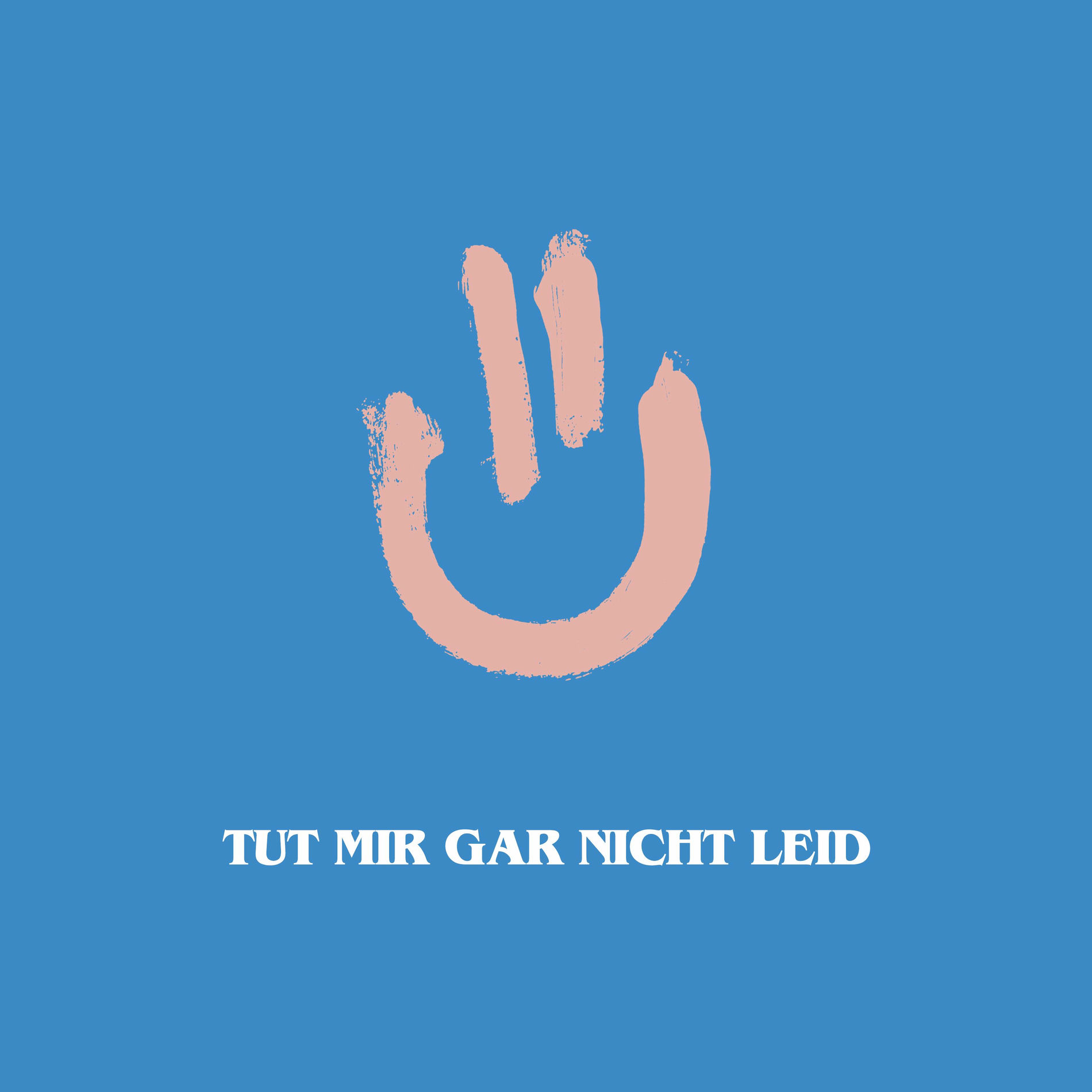 Album cover of TUT MIR GAR NICHT LEID