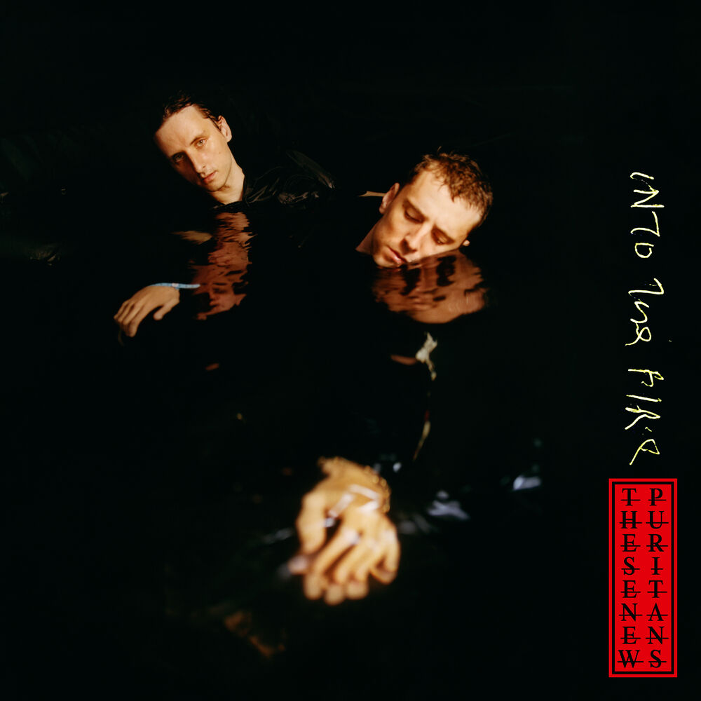 Picture of Into The Fire