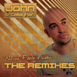 Cover of Never Fade Away (The Remixes)