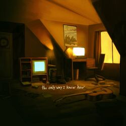 Cover of The Only Way I Knew How