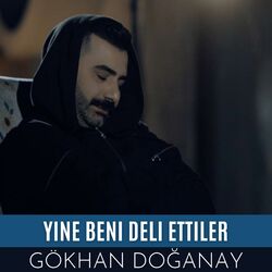 Cover of Yine Beni Deli Ettiler