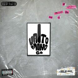 Cover of VTNC (Remix)