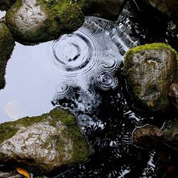 Rain’s Gentle Frequencies - Count The Waves To Fall Asleep